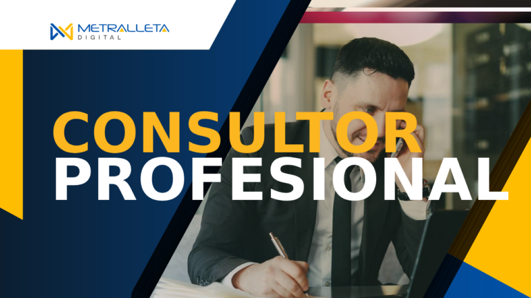 consultor seo profesional